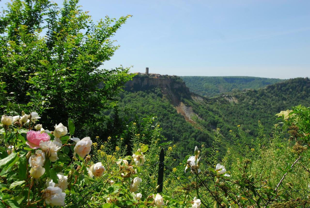 Casa Con Vista Mozzafiato Su Civita Di Bagnoregio Villa Lubriano Buitenkant foto